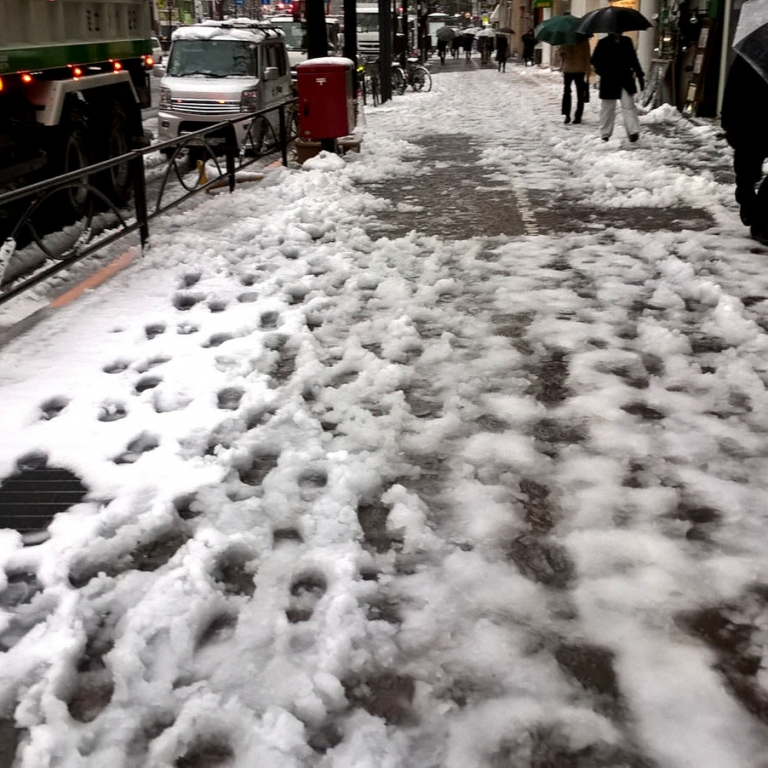 Снег в Токио - стихийное бедствие; Токио