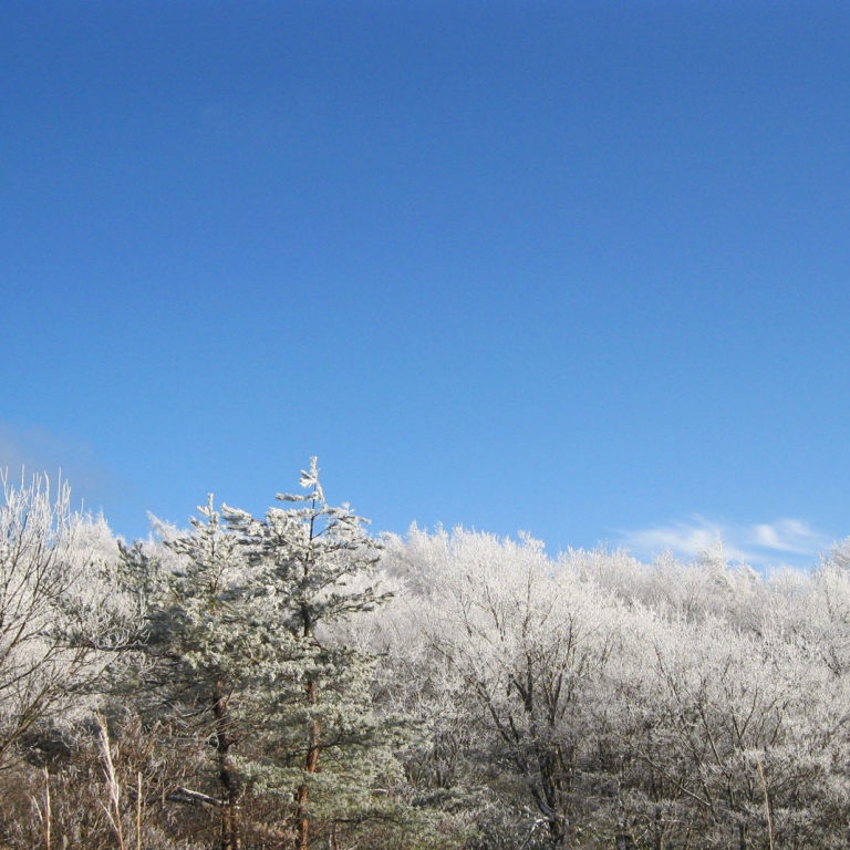 Солнечный декабрь, снег только выпал; Фукусима