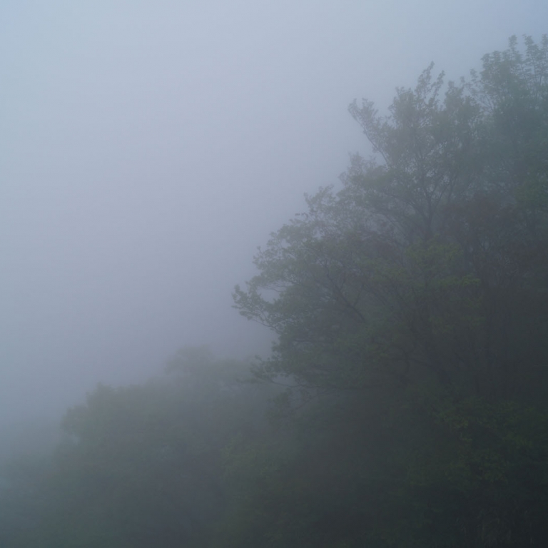 Лес в тумане у подножья г.Насу; Тотиги