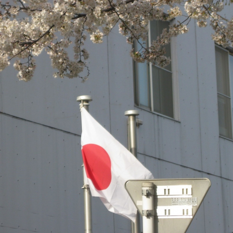 Флаг как доказательство места съемки; Токио